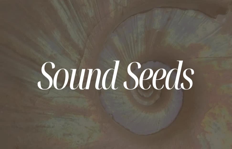Sound Seeds - Tauche ein in die Welt der Klangmedizin 