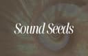 Sound Seeds - Tauche ein in die Welt der Klangmedizin 