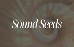 Sound Seeds - Tauche ein in die Welt der Klangmedizin 